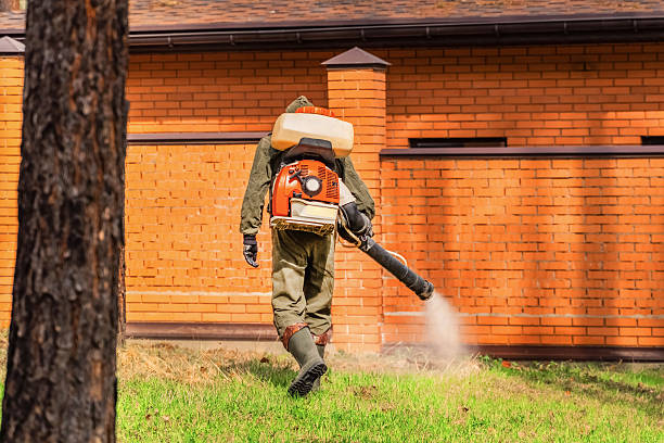 Trusted Bed Bug Control service in Monticello, UT - Nex Pest Control